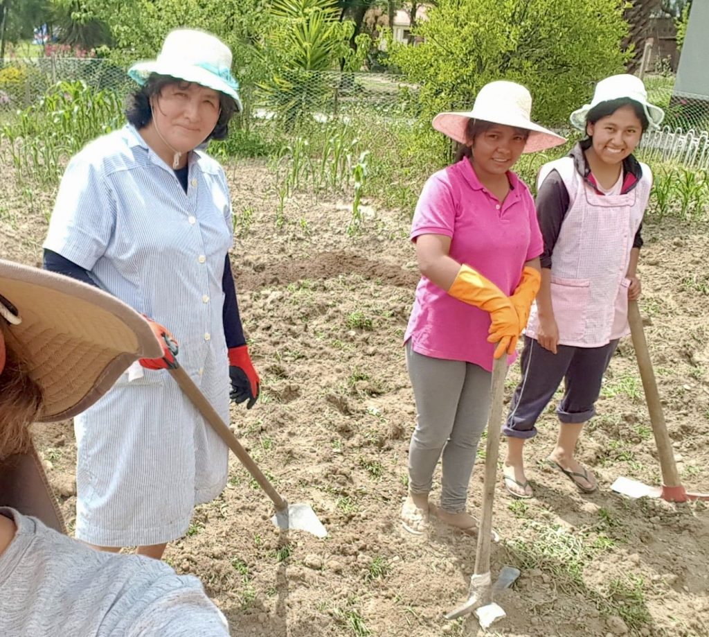 MISOL y el cuidado de la Creación