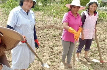 MISOL y el cuidado de la Creación